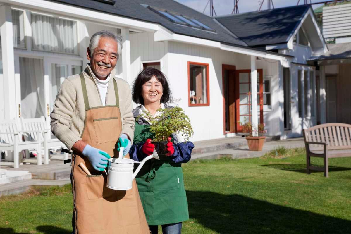 pn/eaec b ef bfdc dacae