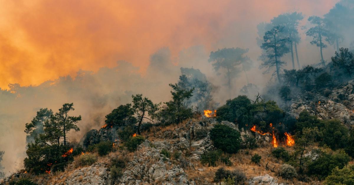 A wildfire on a mountainside. 