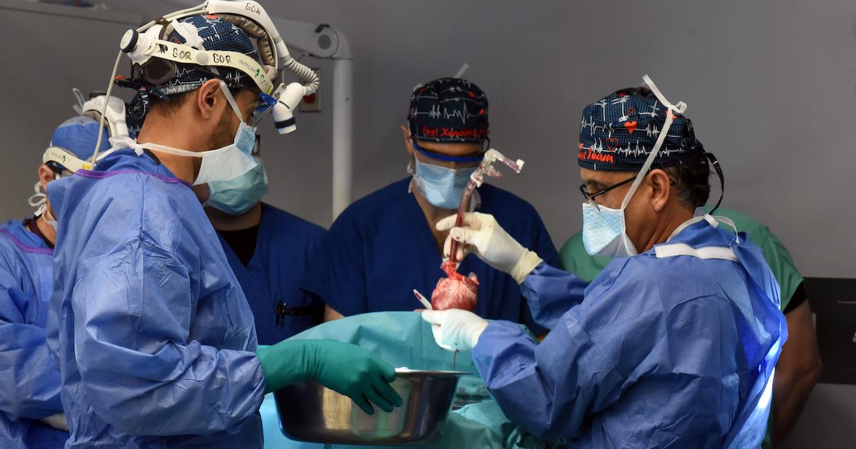 Surgeons examine a heart