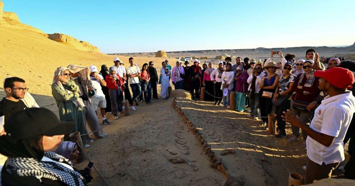 A group of tourists views a Doriodon whale fossil at Wadi Al-Hitan (Cover Image Source: Getty Images | Sayed Hassan)