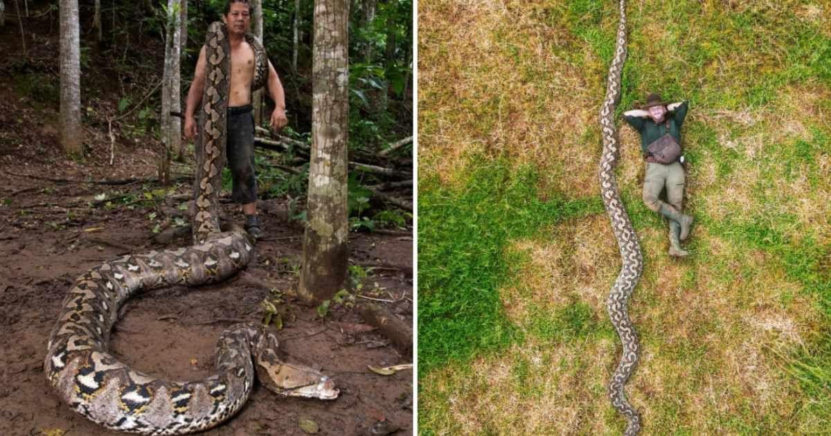 (L) Local conservationist Budi Purwanto with the python; (R) Drone photo of Radu Frentiu with the python (Cover Image Source: Instagram | @guinnessworldrecords)