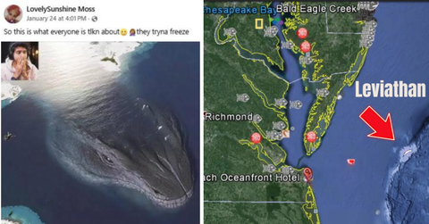 Images show a mass in the water off of Virginia that people claim is a leviathan