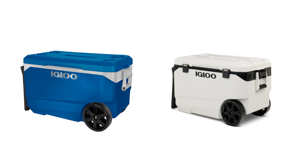 A blue and white Igloo cooler sit side-by-side