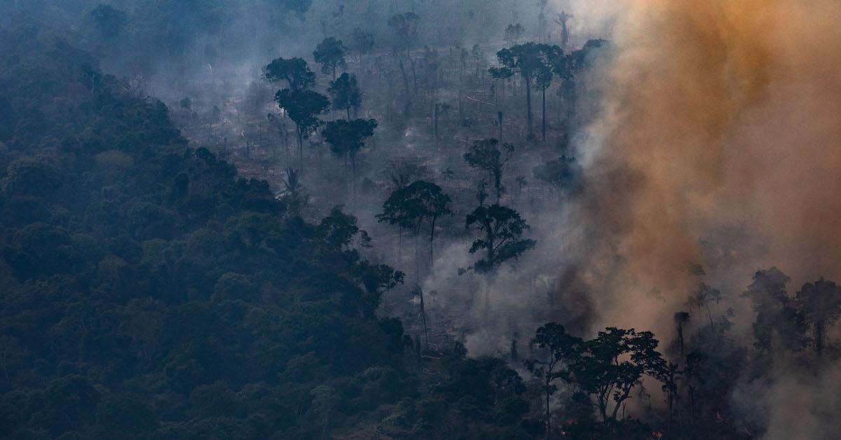 jair bolsonaro amazon fires