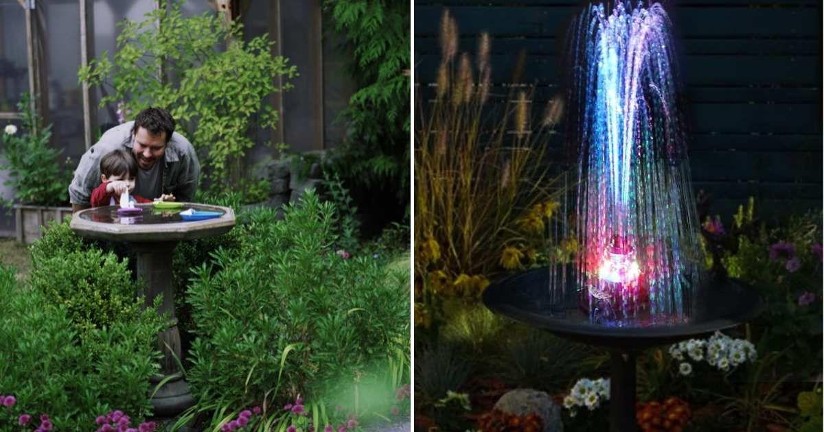 (L) A father and his son playing with the bird bath water. (Representative Cover Image Source: Getty Images | Mel Curtis) | (R) JuTai solar fountain pump in a bird bath (Cover Image Source: Amazon)