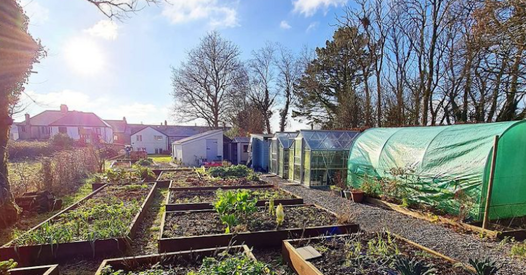 Is Roundup Safe for a Vegetable Garden? What You Need to Know