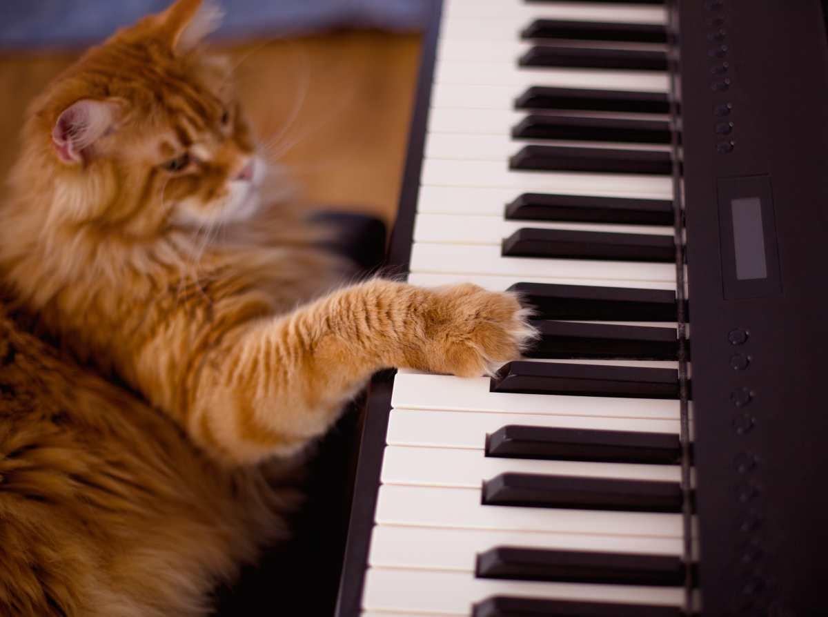 pn/ffab dd dd bc cefbda