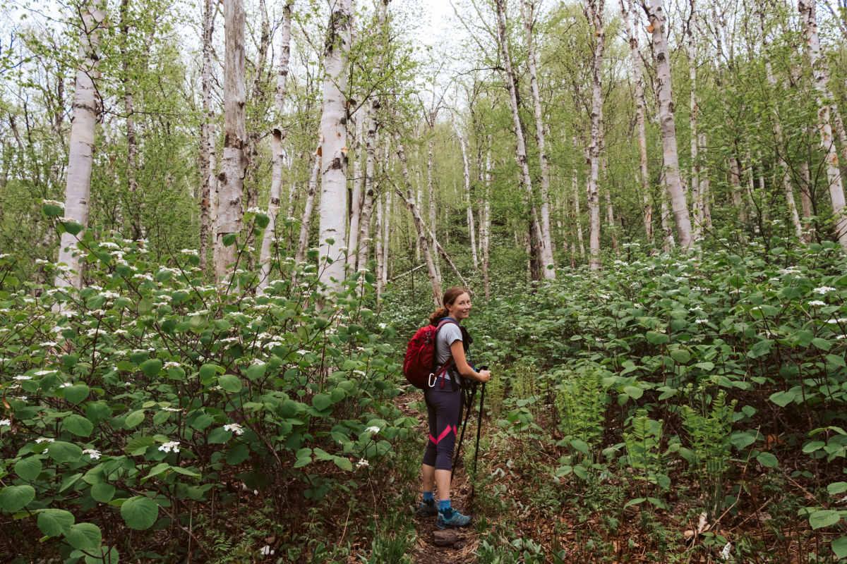 pn/cca b a aaa aabdaa