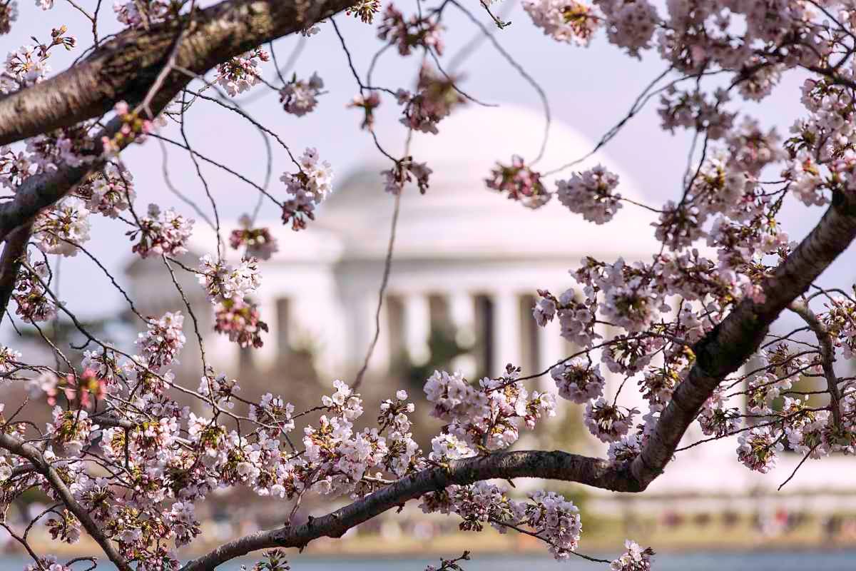 pn/bcca bf b f bfbbfeefc