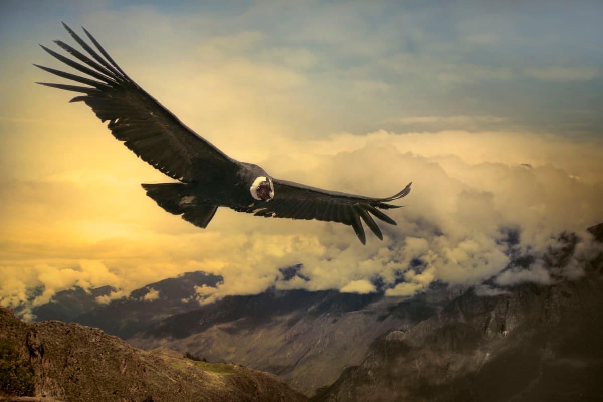 pn/aabac ea d ab ecbcafbb