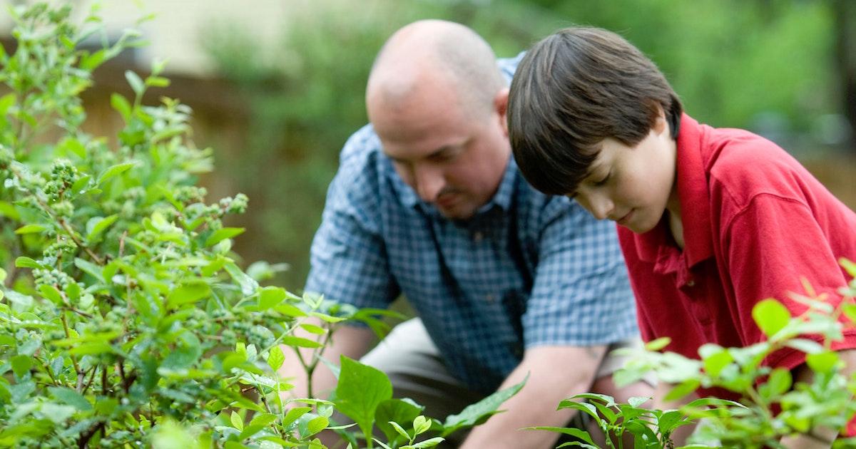 Man gardening with son