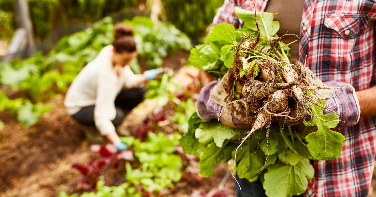 research question on sustainable agriculture