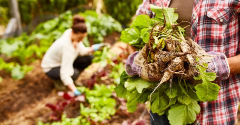 Two people in a garden
