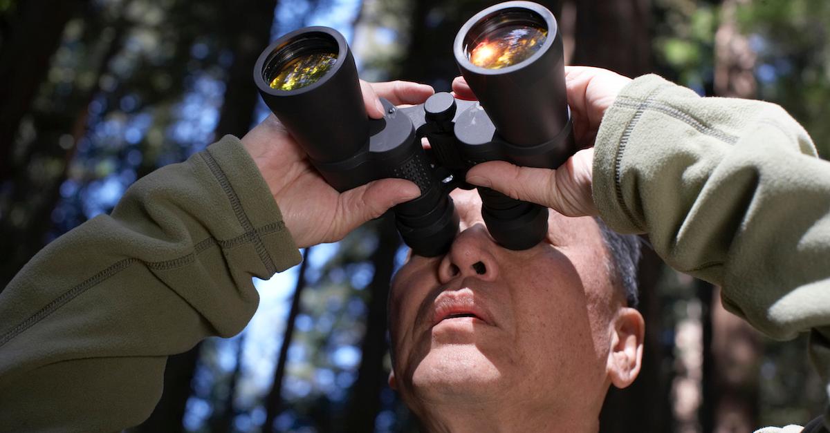 Bird watching with sales binoculars