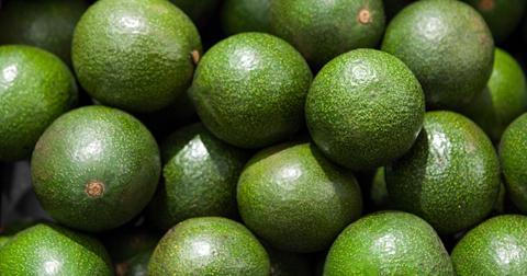 Are Avocados Vegan?