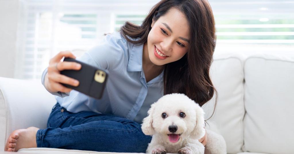 Why Do Dogs Hide Treats? This Could Be Why