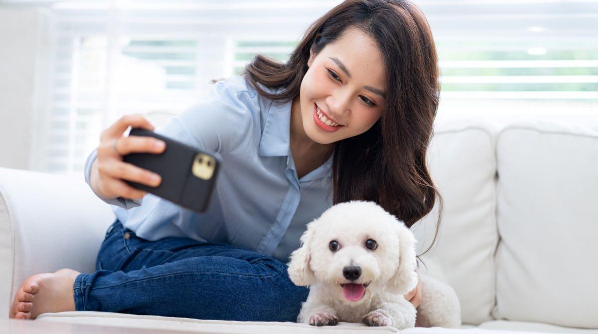 Why Do Dogs Hide Treats? This Could Be Why