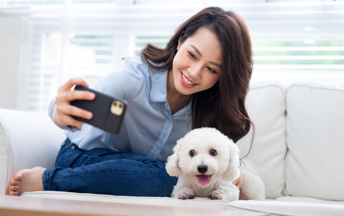 Why Do Dogs Hide Treats? This Could Be Why