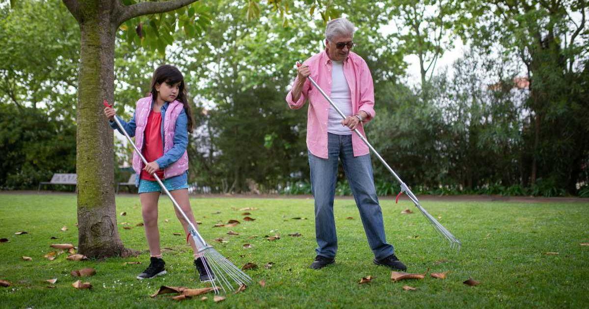 A man and his granddaughter raking fallen leaves from their home lawn. (Representative Cover Image Source: Pexels | Kampus Production)