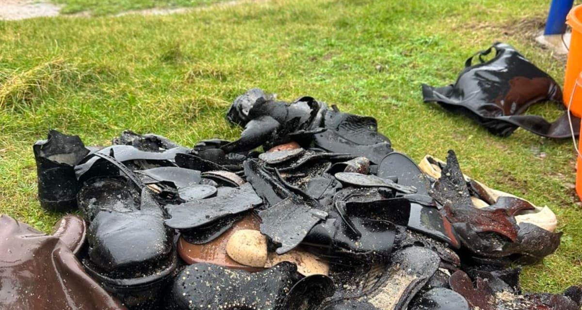 pn/cabcb dff cc b dbbebd