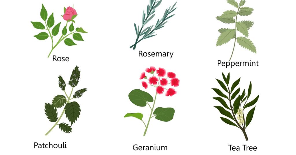 NonToxic Room Sprays Here Are Some of the Best Room Sprays