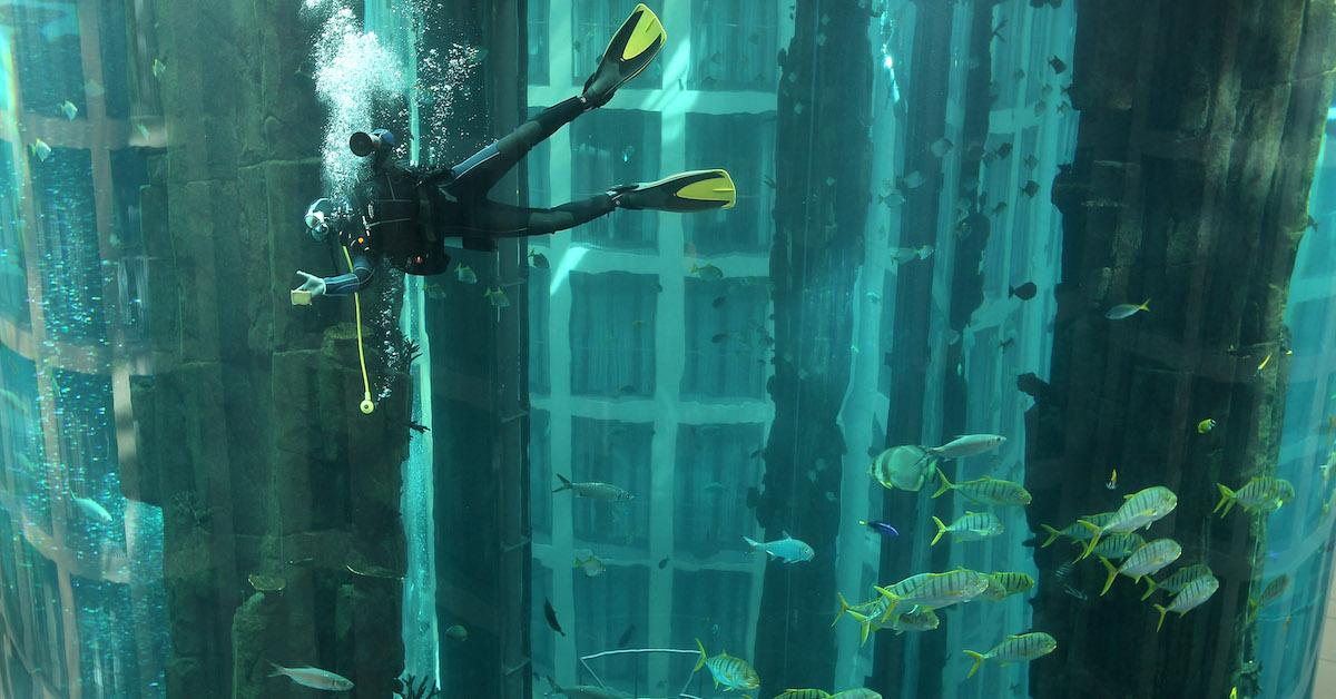 Berlin AquaDom Aquarium Explosion at Radisson Blu