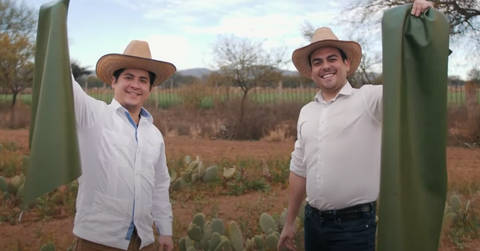 H&M Vegan Cactus Leather