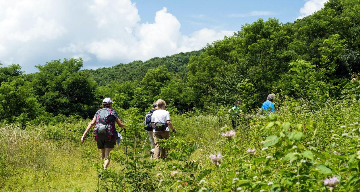 5 of the Best Hikes Near Charlotte, N.C. to Get Out of the City