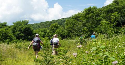A small group of hikers in North Carolina surrounded by bright green foliage.