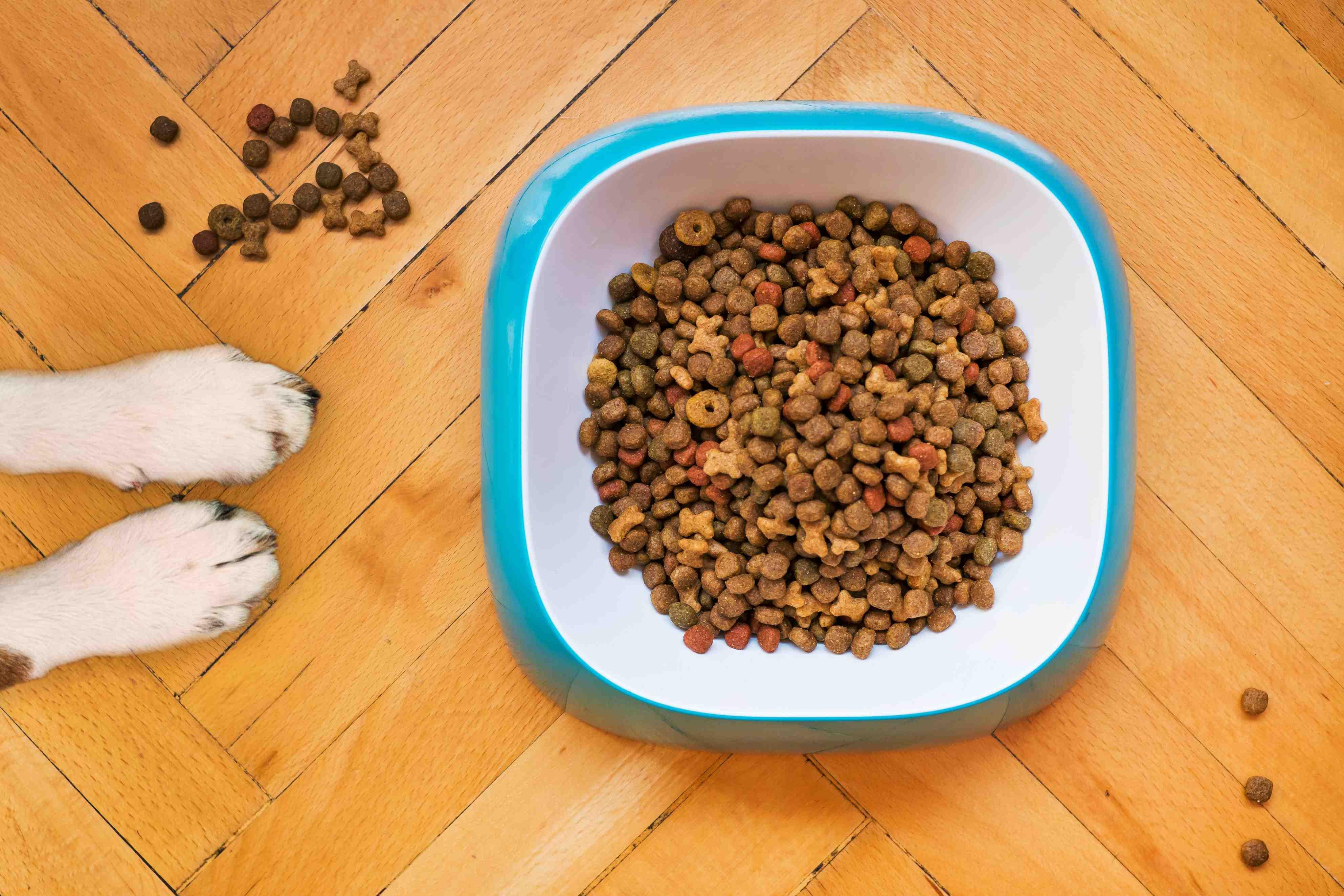 Another Pet Food Brand Recalled Due to Salmonella