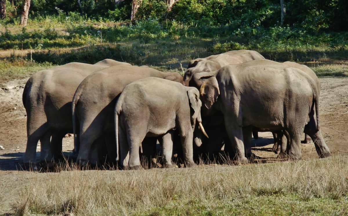 pn/fd cc  a abbdecbbe