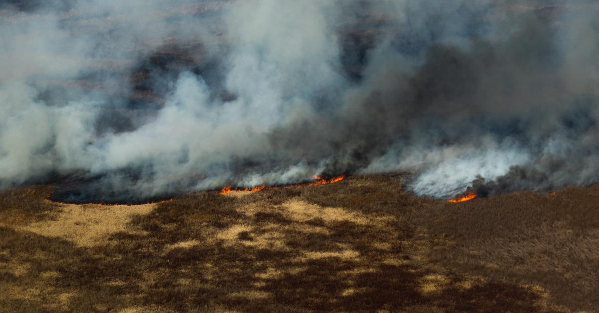 Wildfires in Argentina Are Getting Worse — Here’s What You Need to Know