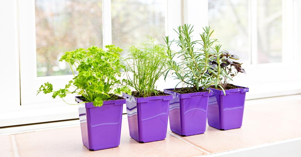 mothers day diy herb garden