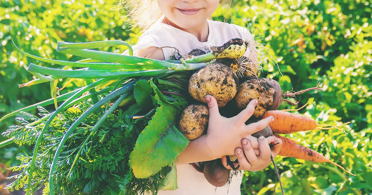 gardening good for immune system