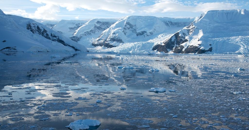 Climate Change Prompts Flowers to Bloom Rapidly in Antarctica