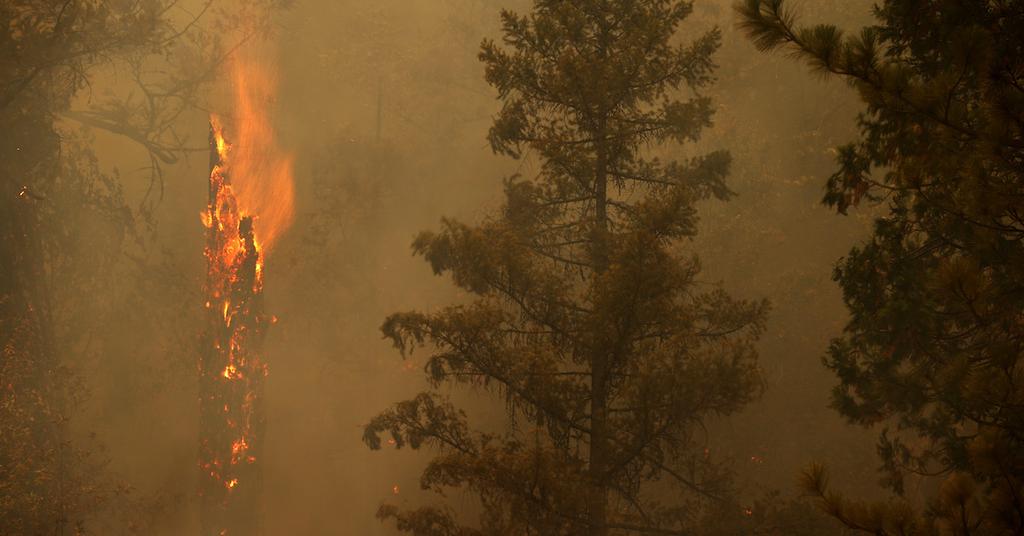Dixie and River Fires Are Destroying Northern California
