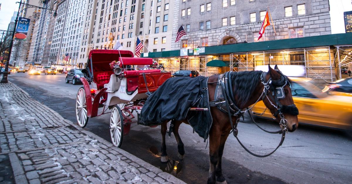 A horse drawn carriage in New York City. 