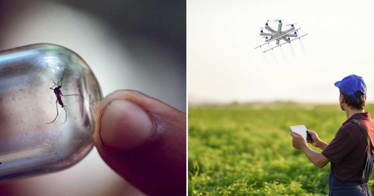 (L) A mosquito is singled out in a vial; (R) Man operating a drone spraying over lush plants. (Representative Cover Image Source: (L) Karen Kasmauski; (R) baranozdemir)