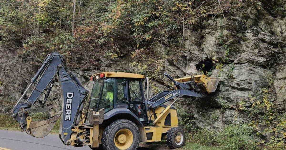 Rangers rescue a trapped bear in the Great Smoky Mountains National Park. (Cover Image Source: Instagram | @greatsmokynps)