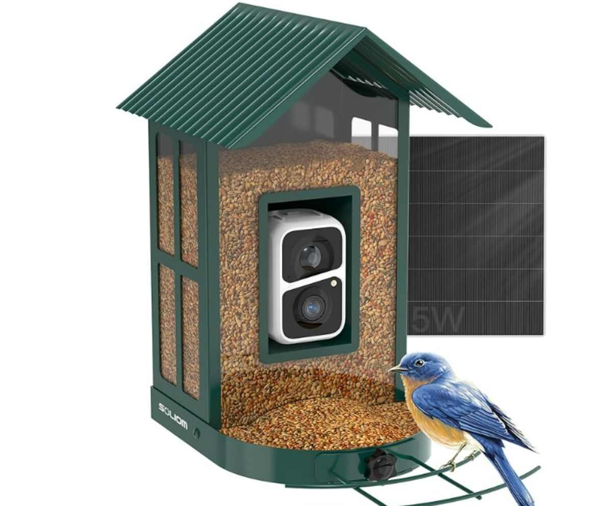 pn/bfcbe  f b cdeeeea