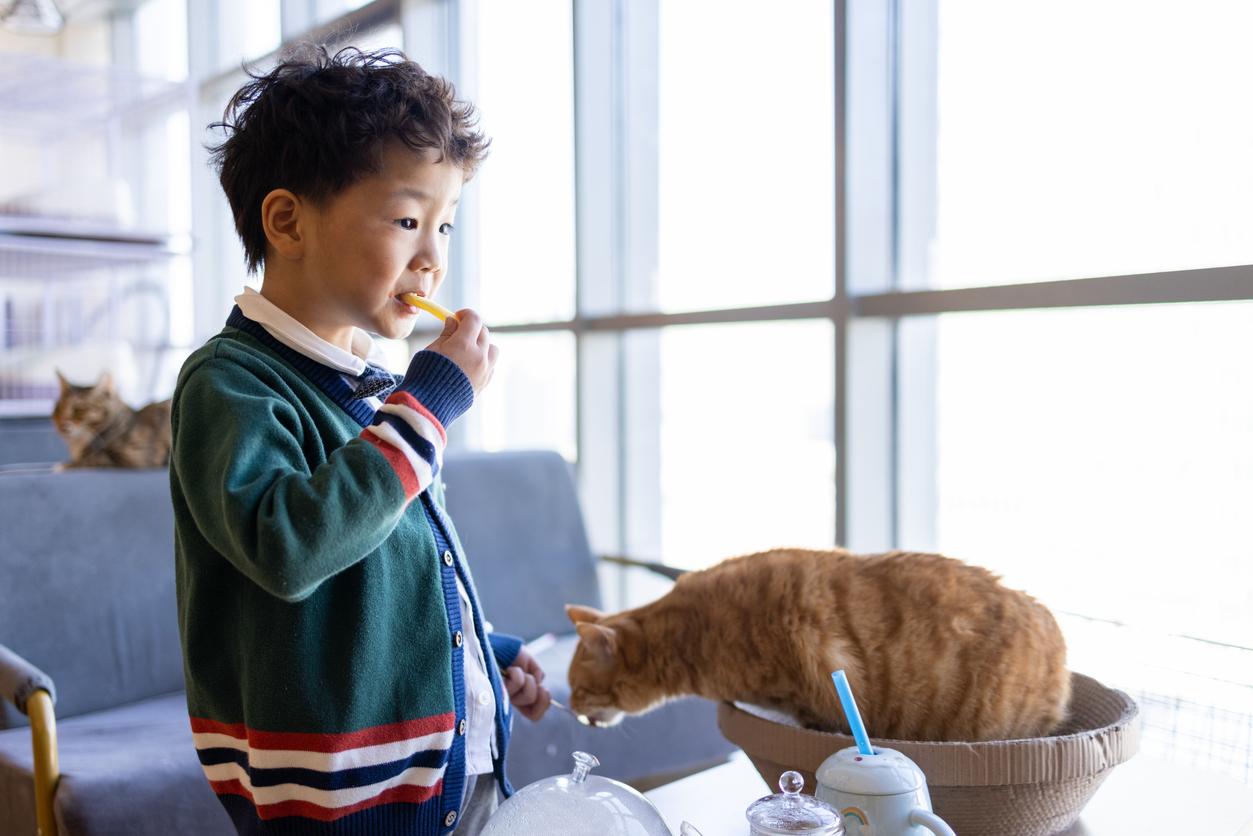 A young boy eats a French fry while a cat begs for food beside him, with another cat laying on a chair in the background.