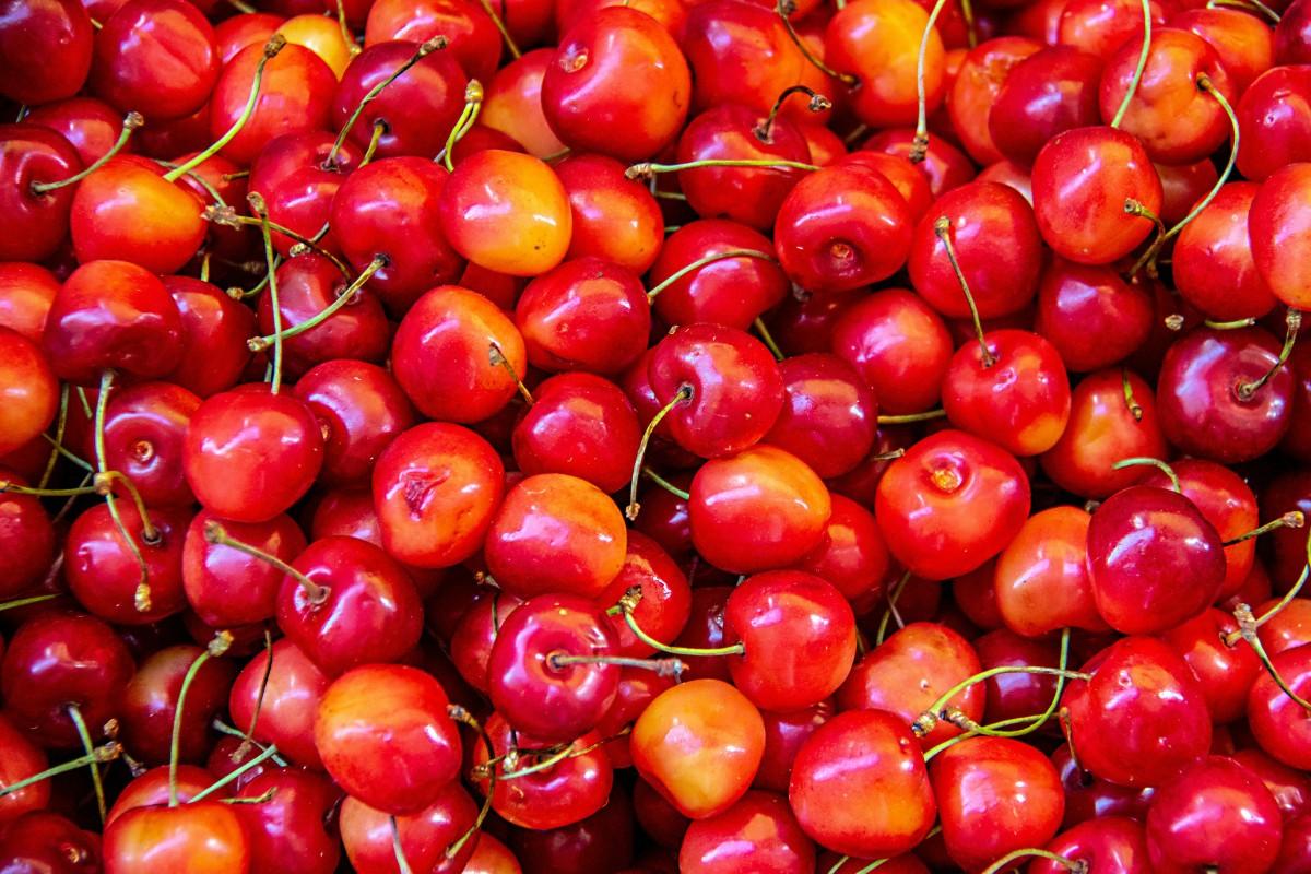 Close up of a pile of cherries