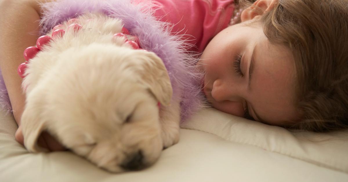 What Does My Dog’s Sleeping Position Mean?