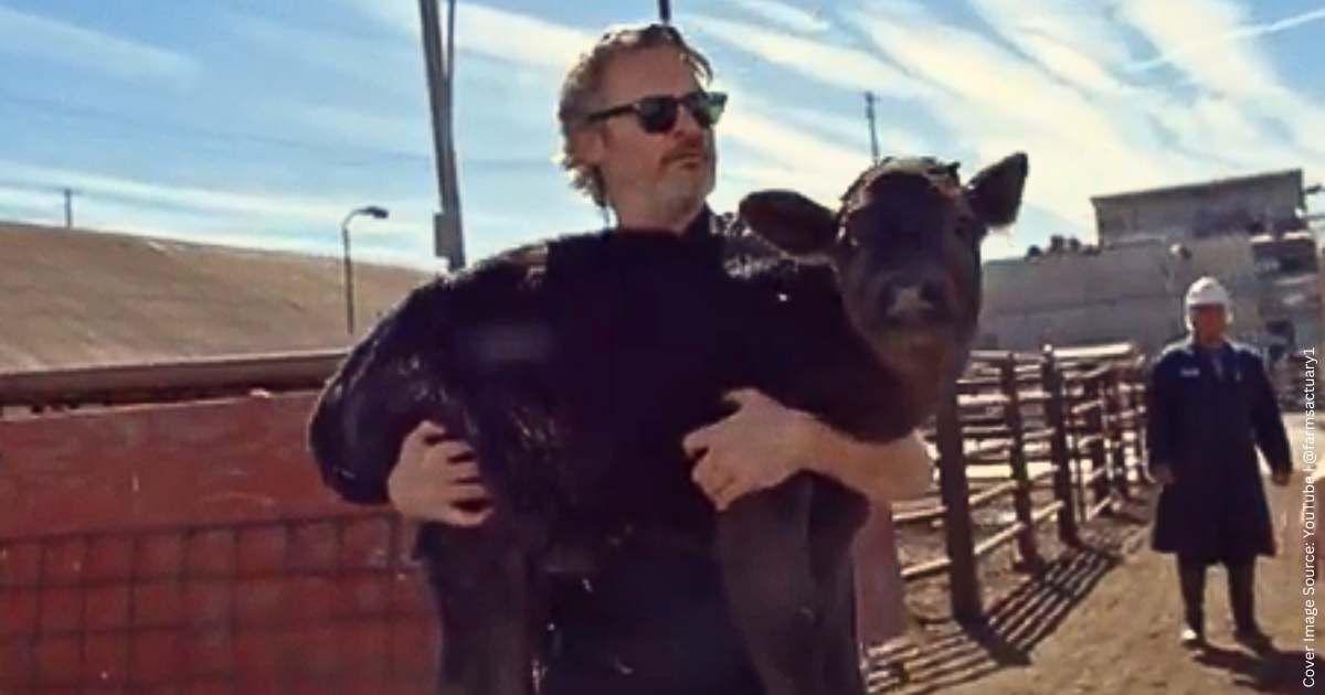 Actor Joaquin Phoenix rescues a calf from a slaughterhouse. (Cover Image Source: YouTube | @farmsanctuary1)