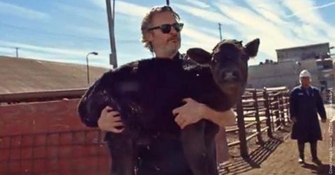Actor Joaquin Phoenix rescues a calf from a slaughterhouse. (Cover Image Source: YouTube | @farmsanctuary1)