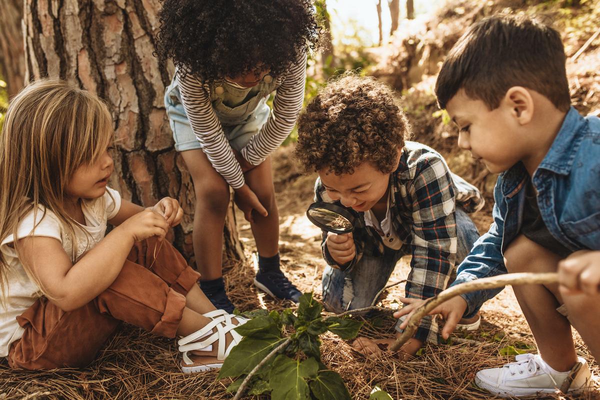 green spaces higher iq urban children