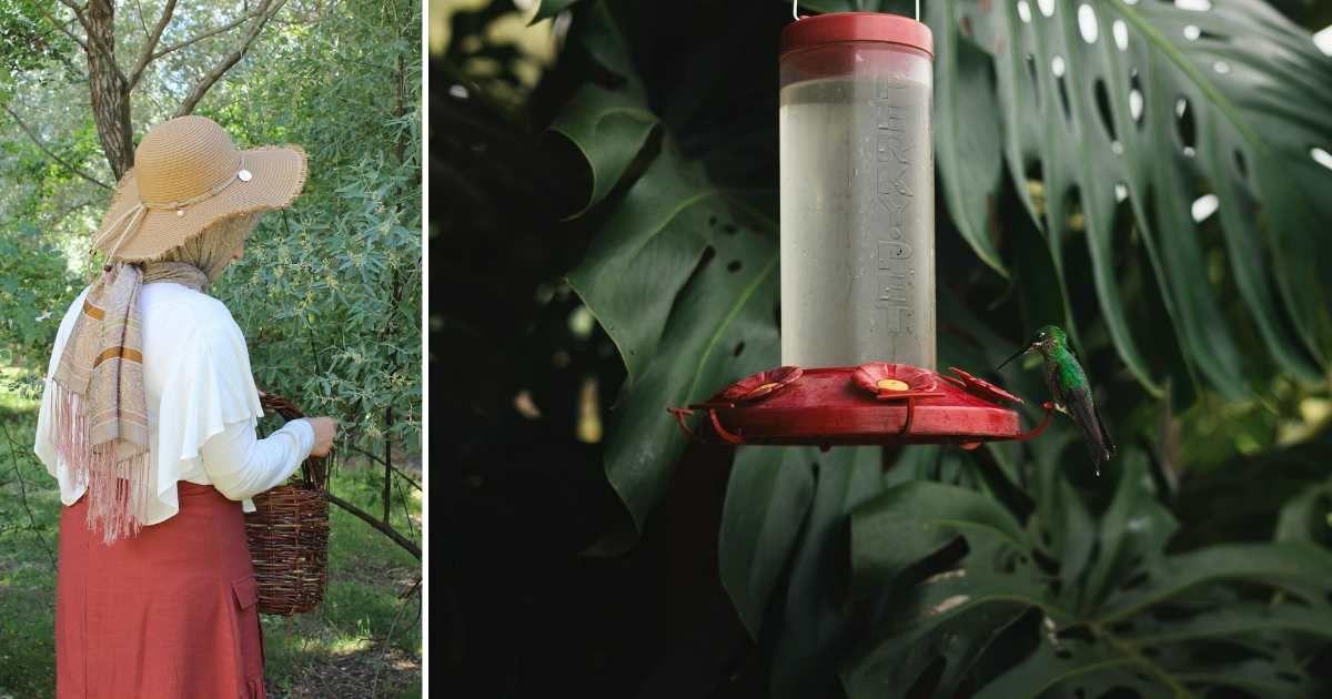 (L) A woman in her garden. (R) A Hummingbird Perched on Feeder. (Representative Cover Image Source: Pexels | (L) Vildan Hanne Doğan, (R) Dante Muñoz)