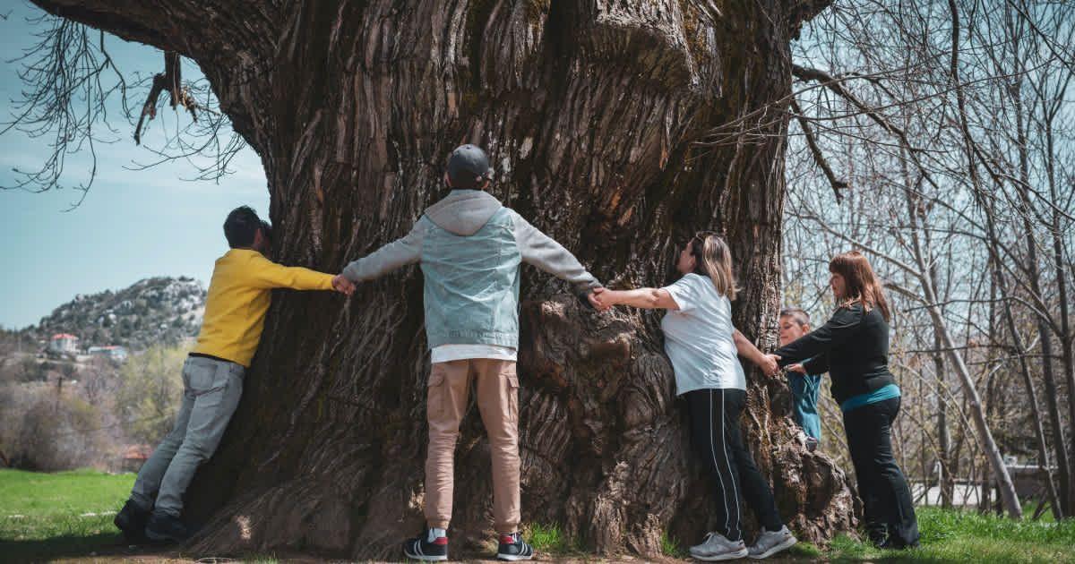 A group of people hugging a tree. (Representative Cover Image Source: Getty Images | mgstudyo)