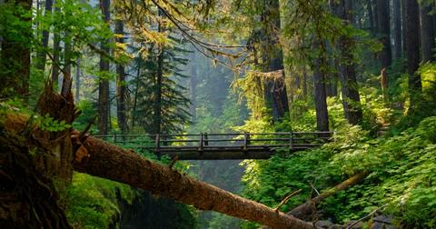 What Is the Best Time to Visit Olympic National Park?