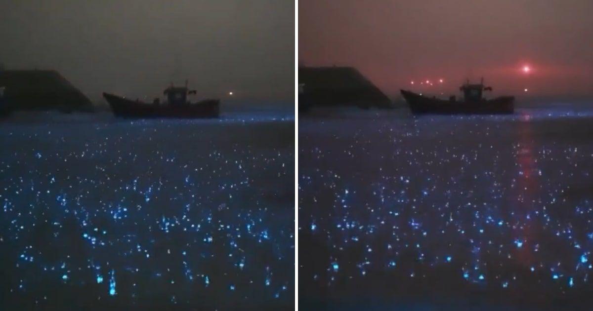 Video shows what bioluminescence looks like in the rain on Mosquito Bay (Cover Image Source: X | @ciencia__infusa)